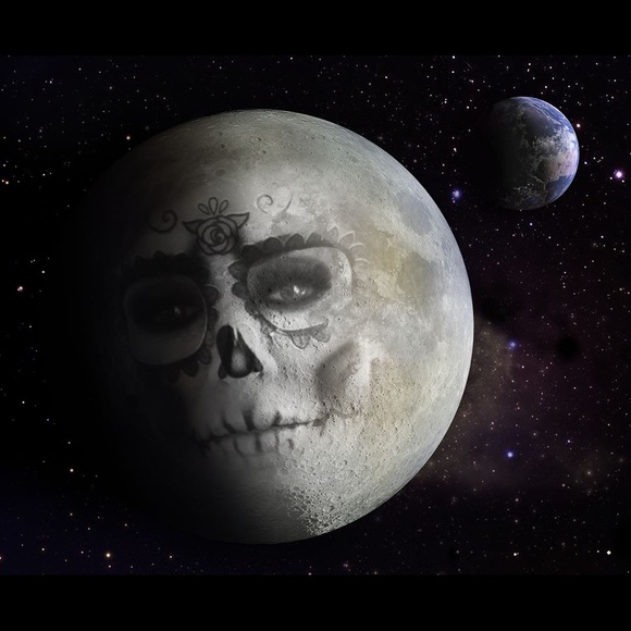 Meet your Posher, Michelle - Picture 4 of 8